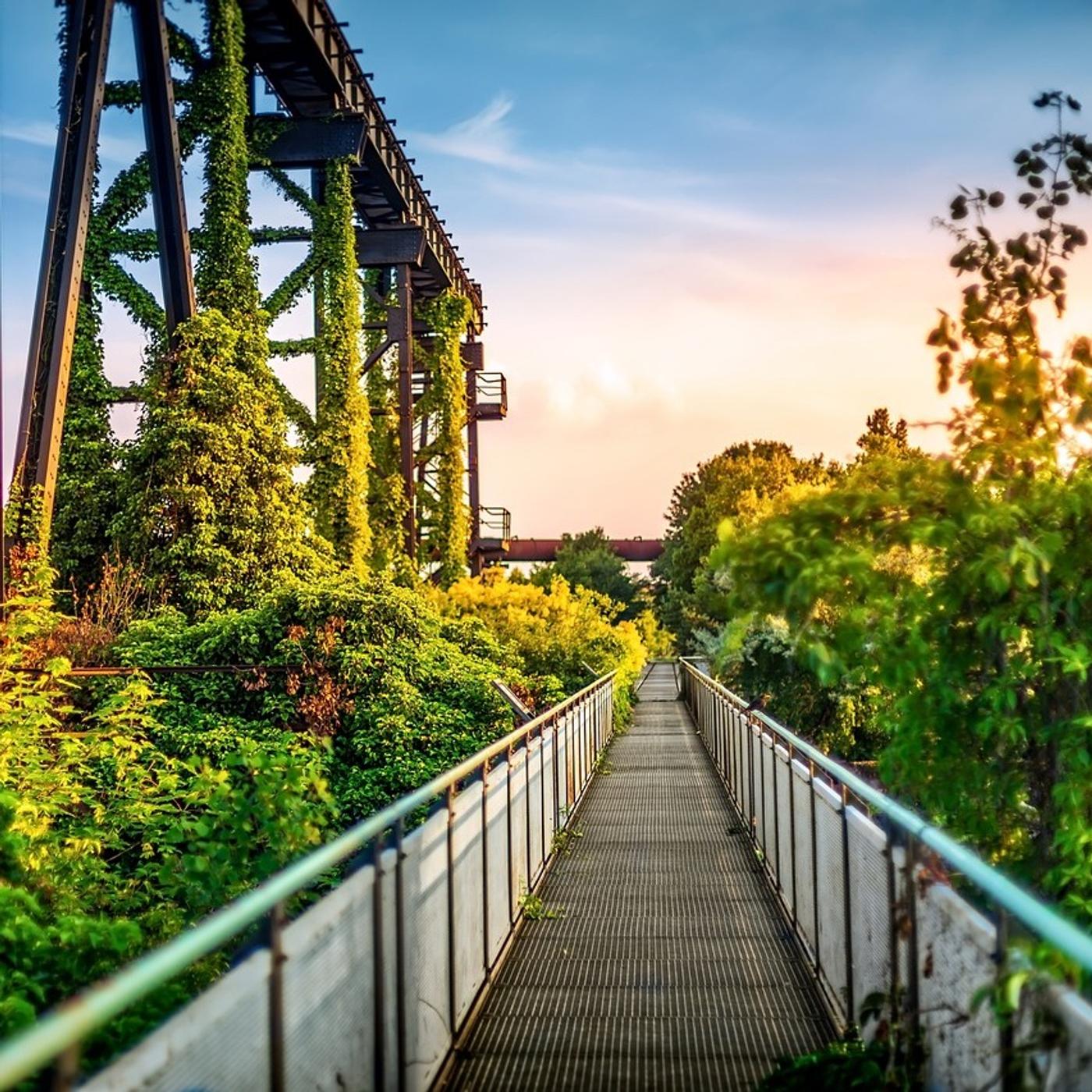 Einen Tag in Duisburg erleben