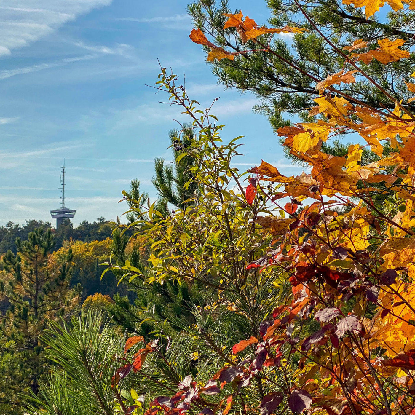 Zile colorate de toamnă în Jena