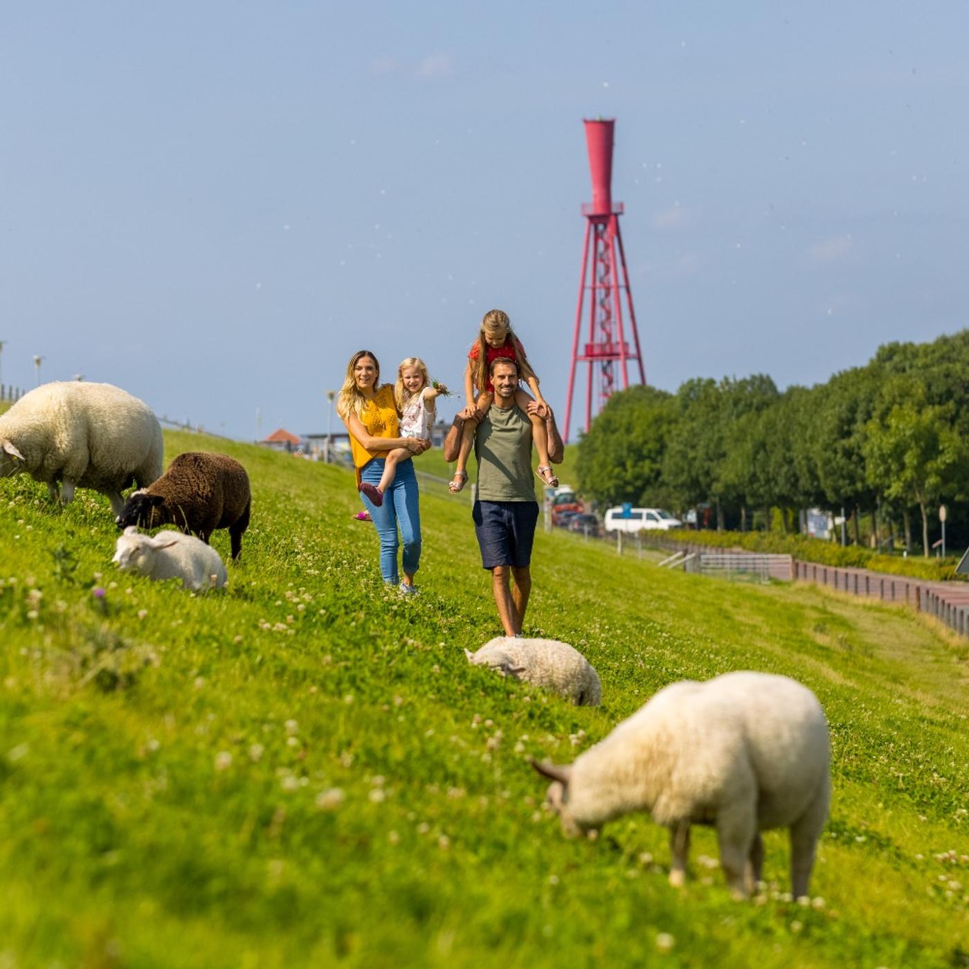 Butjadingen von seiner schönsten Seite!