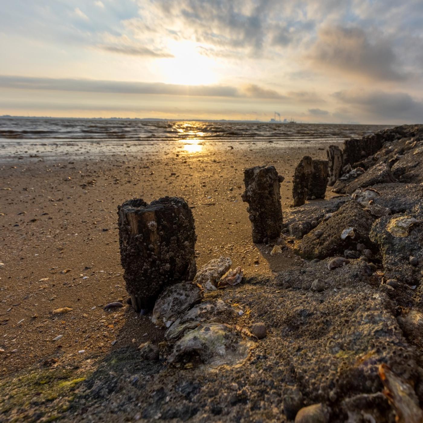 Ein perfekter Tag in Butjadingen