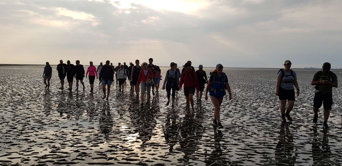 Einzigartiges Naturerlebnis im Wattenmeer