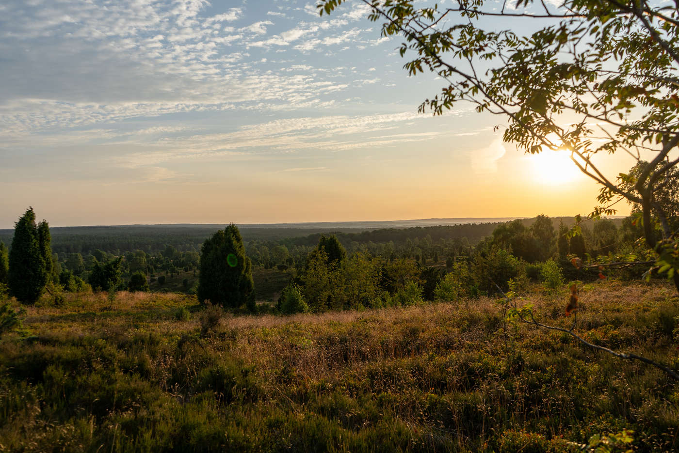 Atemberaubende Aussicht über die Lüneburger Heide