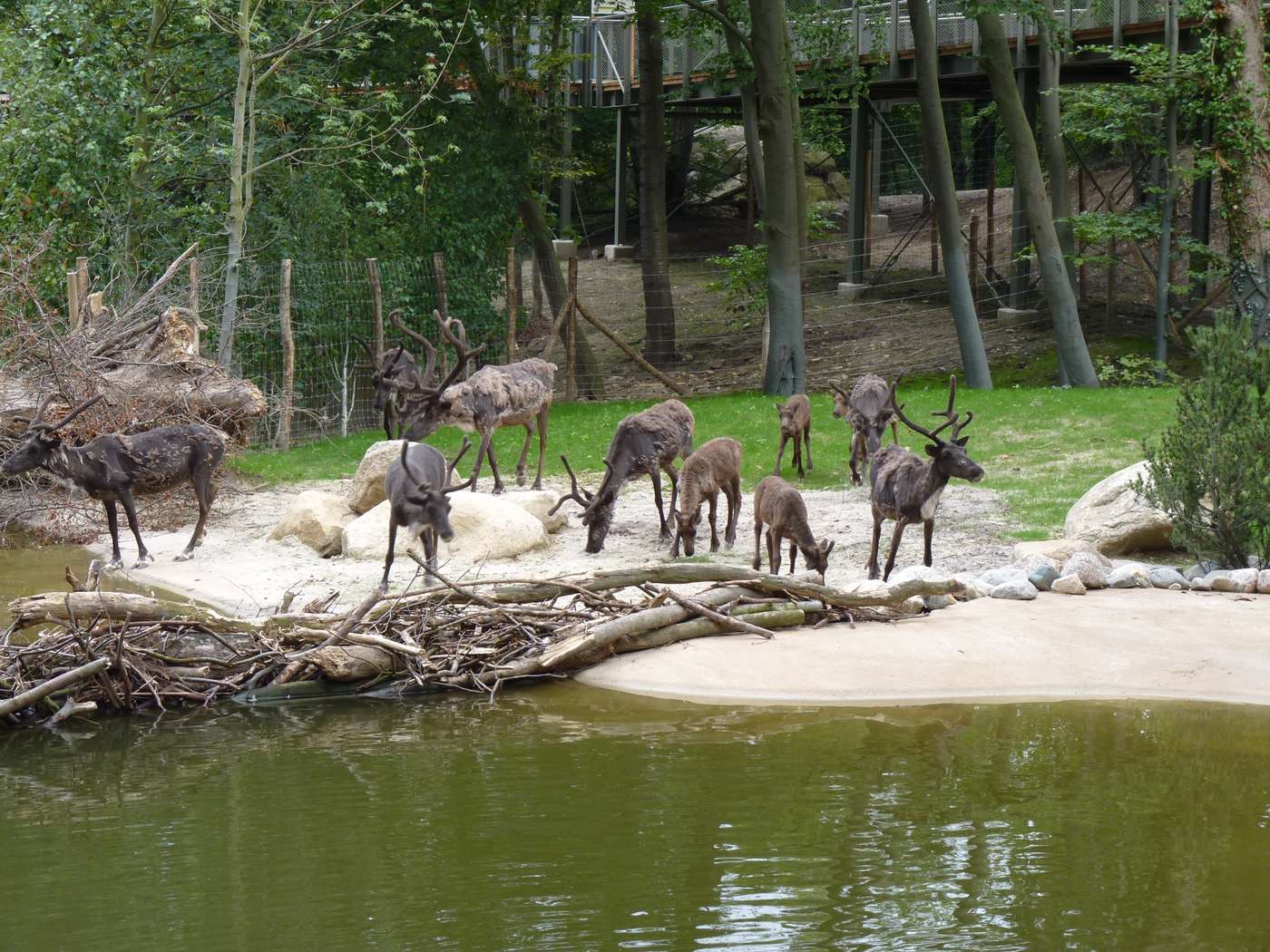 Tierische Abenteuer für die ganze Familie