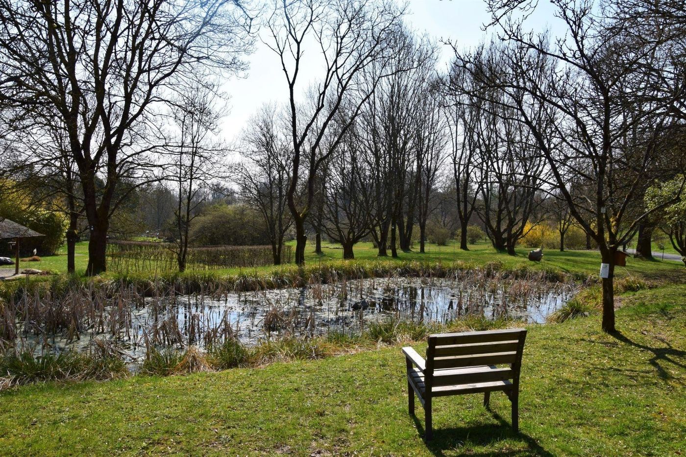 Grüne Oase der Ruhe und Schönheit