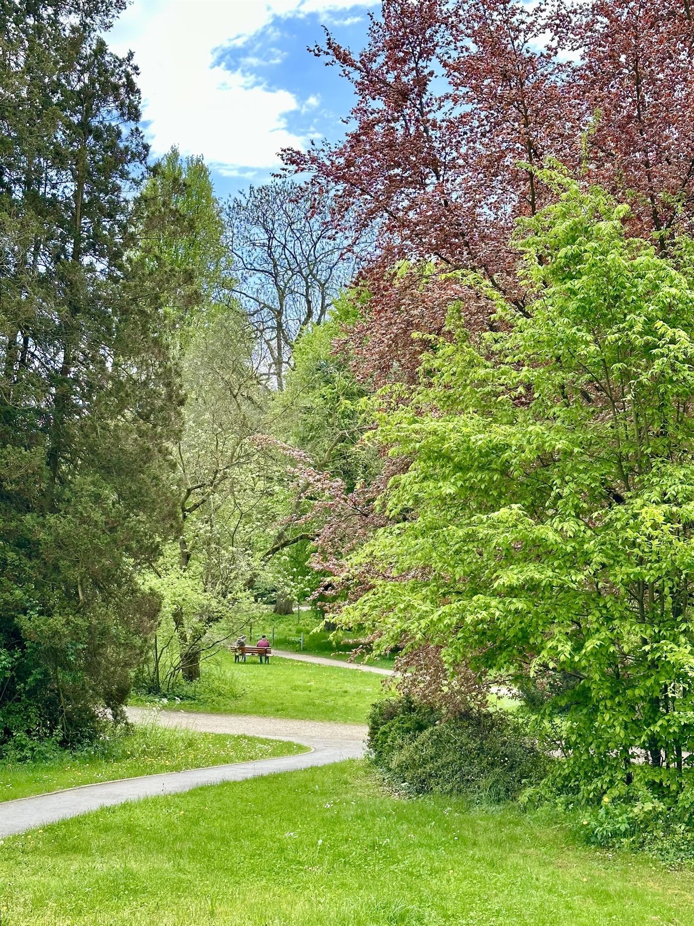 Grüne Oase der Ruhe