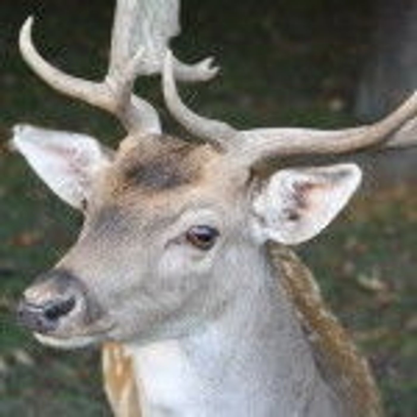 Naturerlebnis pur für die ganze Familie