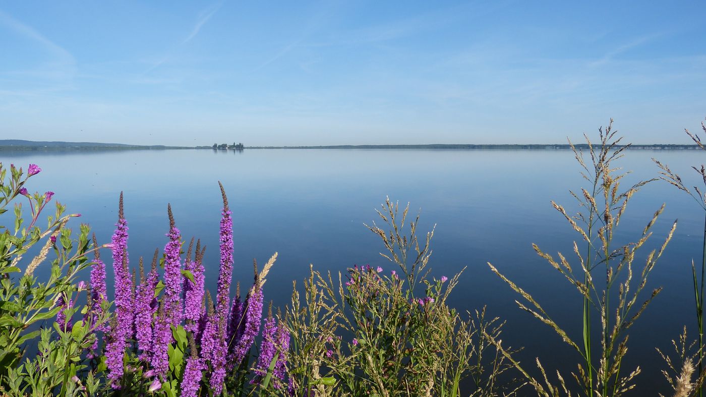 Größter Binnensee Niedersachsens entdecken