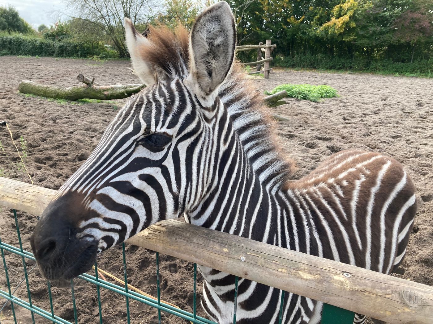 Tierische Begegnungen und Spaß für die ganze Familie