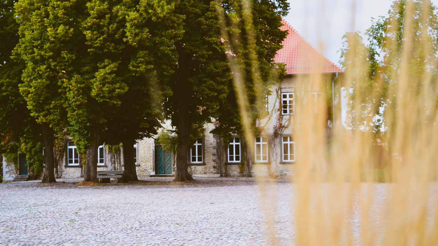 Regionale Spezialitäten frisch serviert