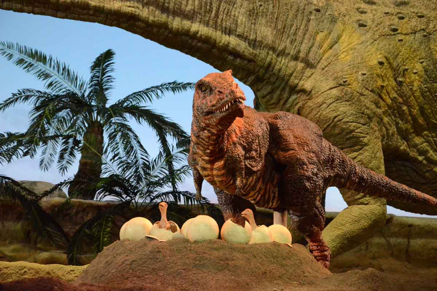 Zeitreise in die Welt der Dinosaurier