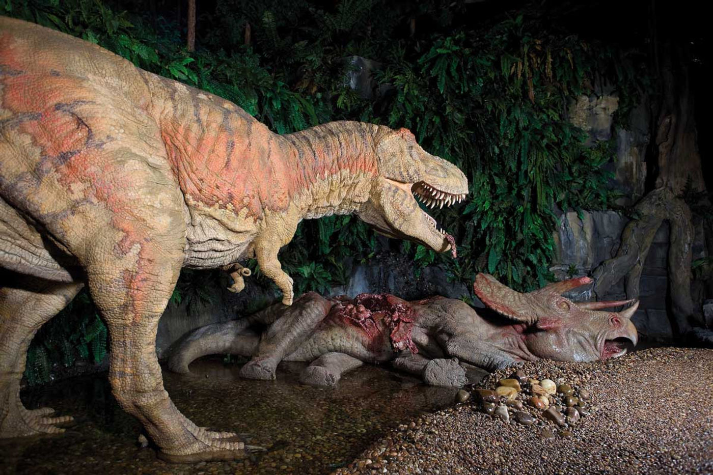 Zeitreise in die Welt der Dinosaurier