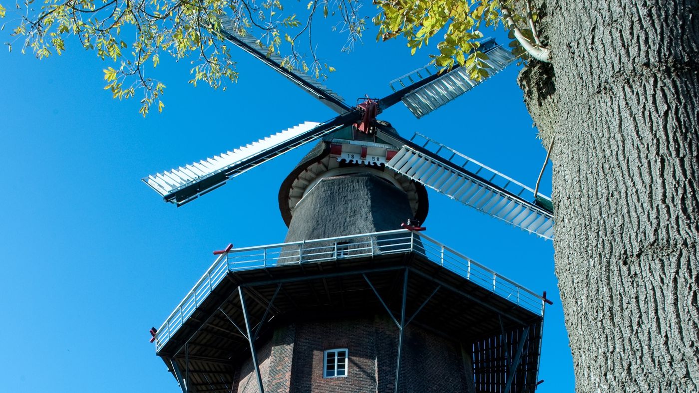 Historische Mühle in Aktion sehen