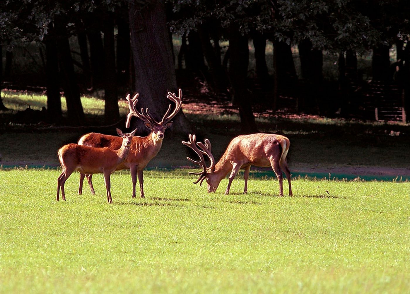 Naturerlebnis pur für die ganze Familie