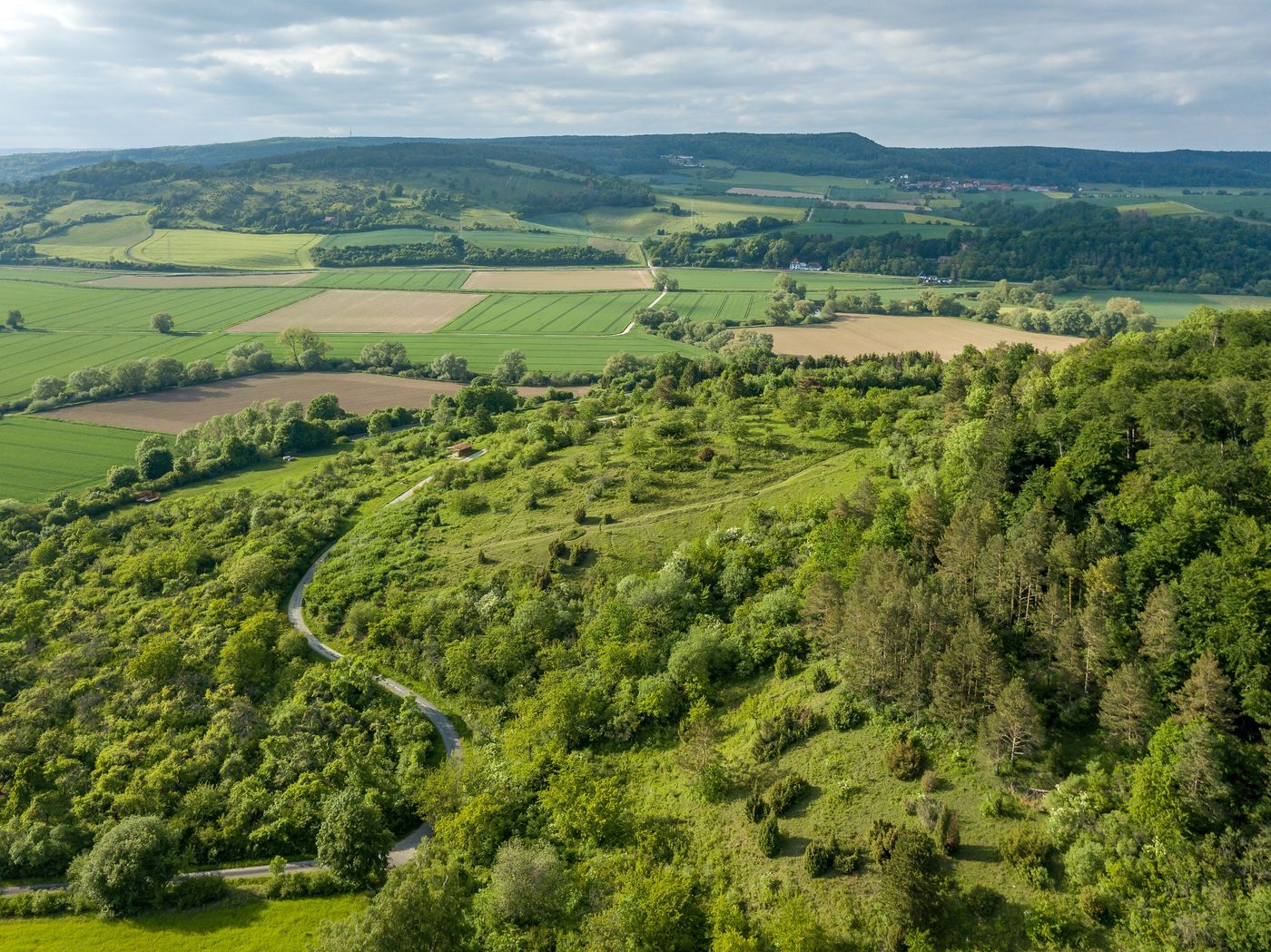 Seltene Vogelarten in idyllischer Natur beobachten