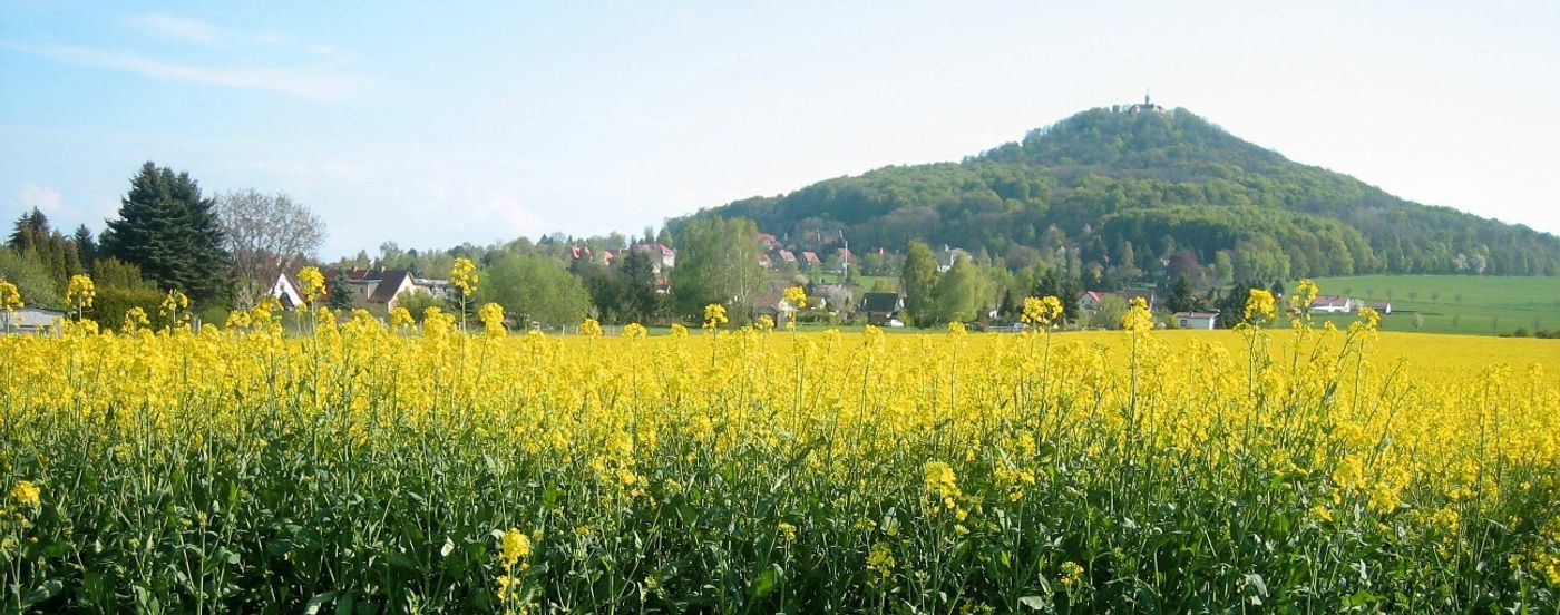 Atemberaubende Aussichten vom Görlitzer Hausberg