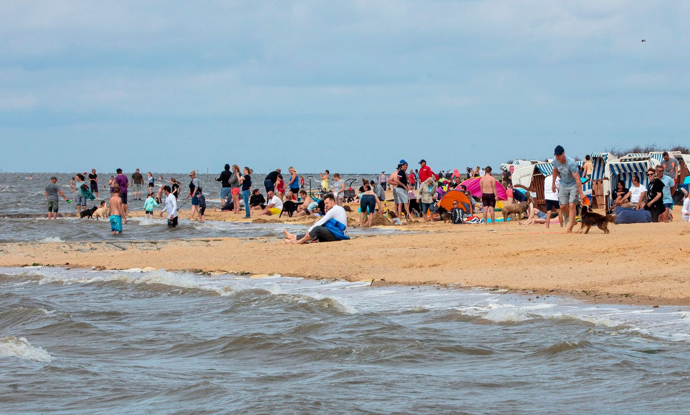 Spaß am Strand mit dem Vierbeiner