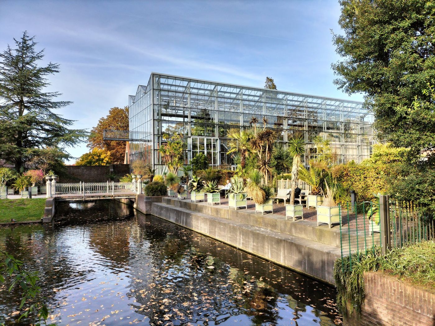 Blumenpracht im ältesten Botanischen Garten