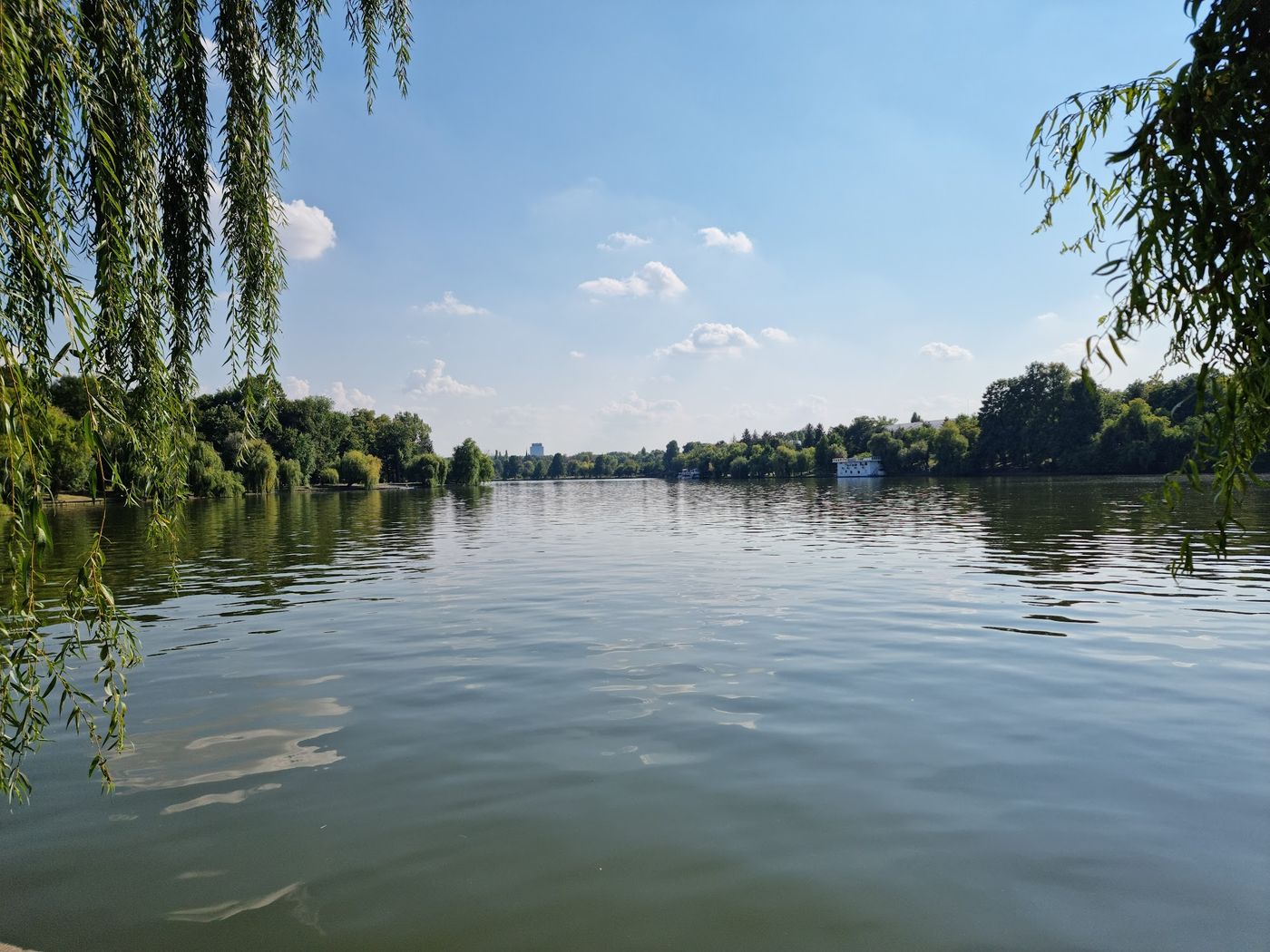 Natur pur in der Stadt