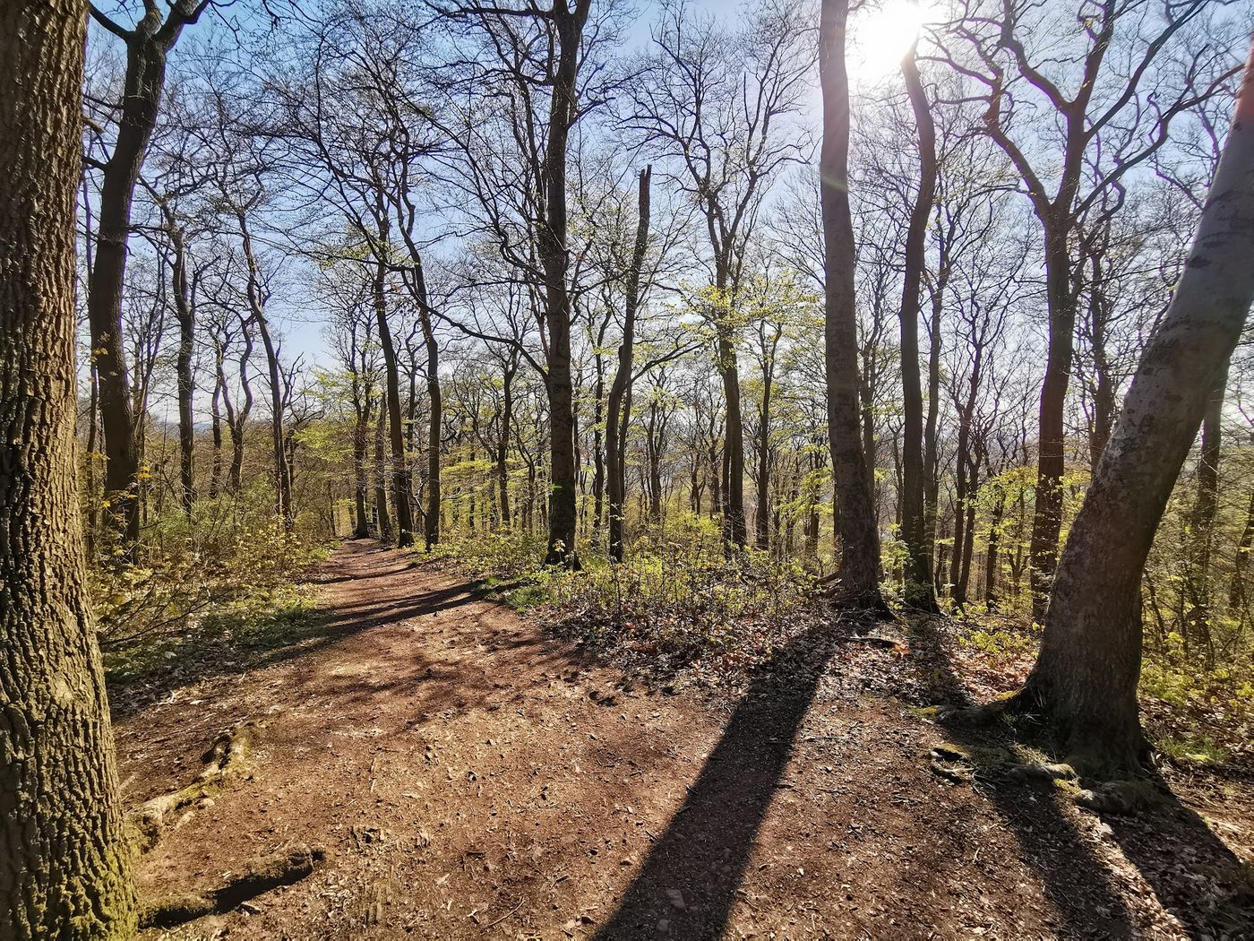 Idyllische Ausblicke nahe Hannover