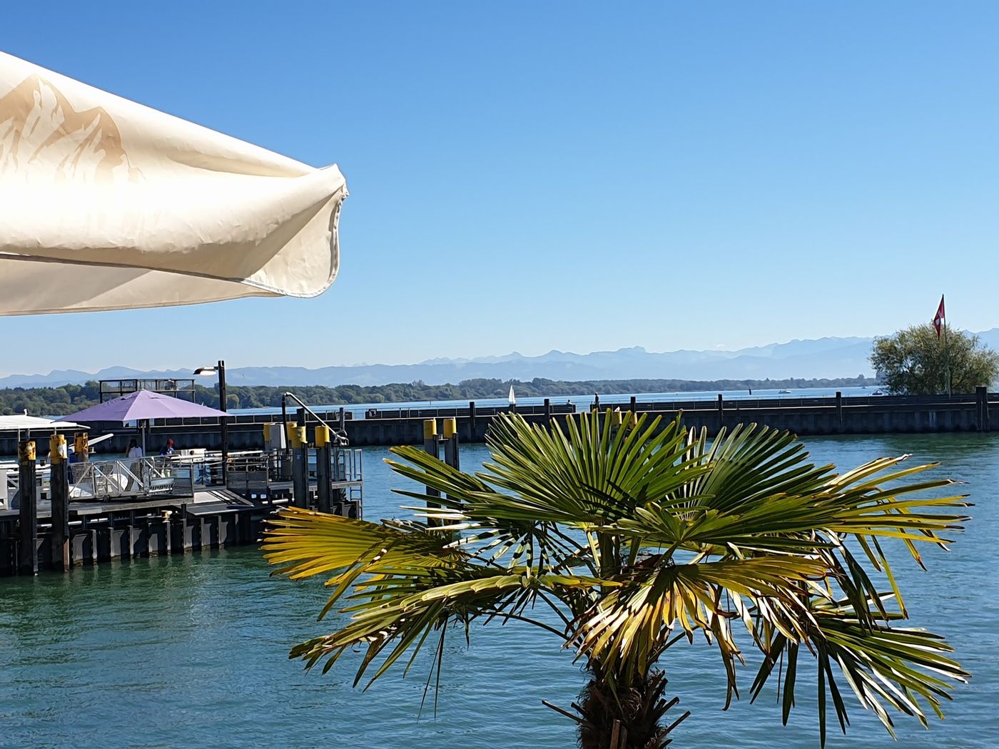 Genießen Sie mediterrane Küche am Hafen