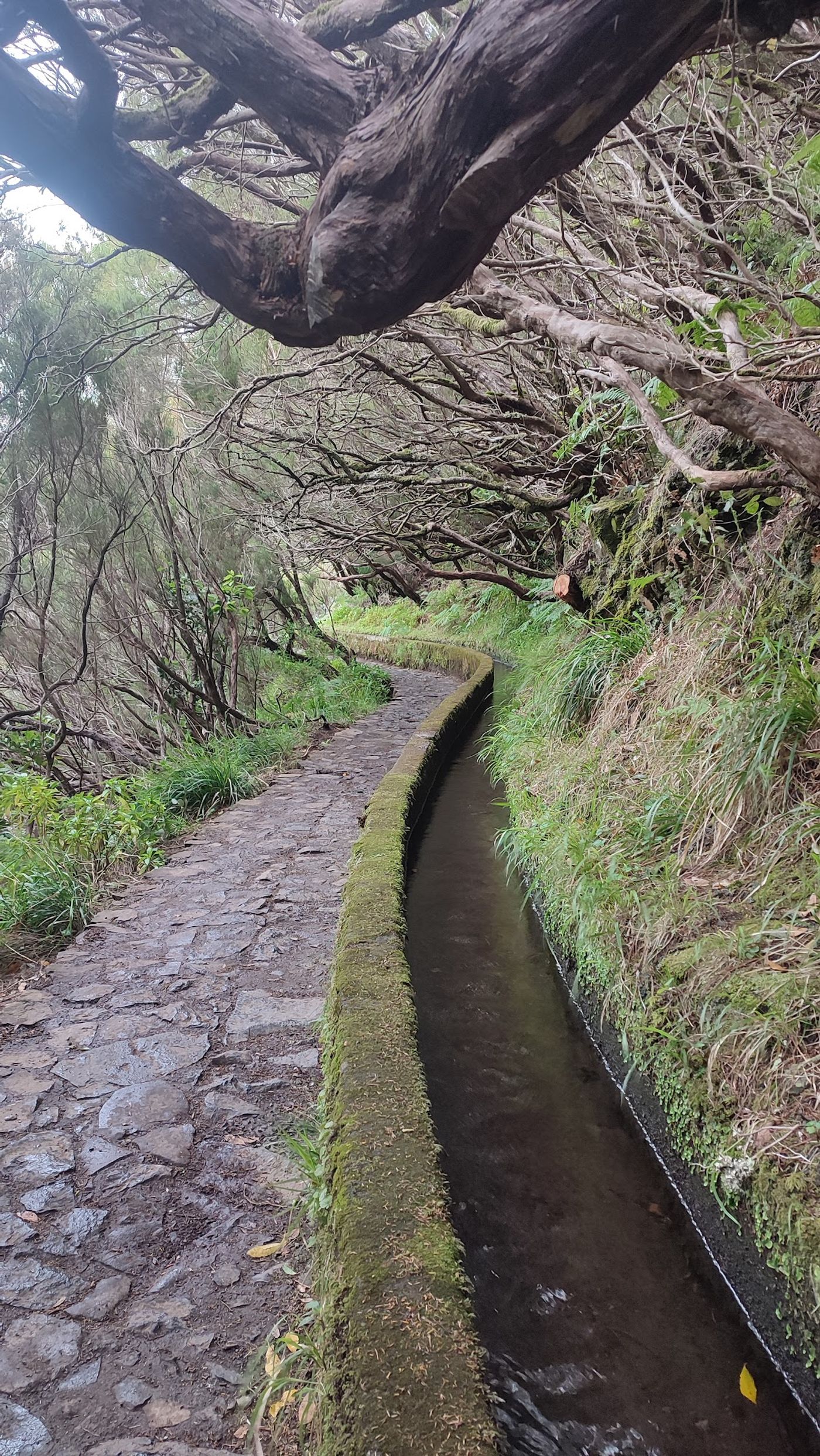 Einzigartiges Naturschauspiel auf Madeira
