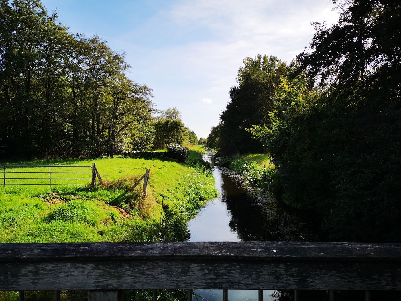 Freizeitspaß und Klettern am Hufeisensee