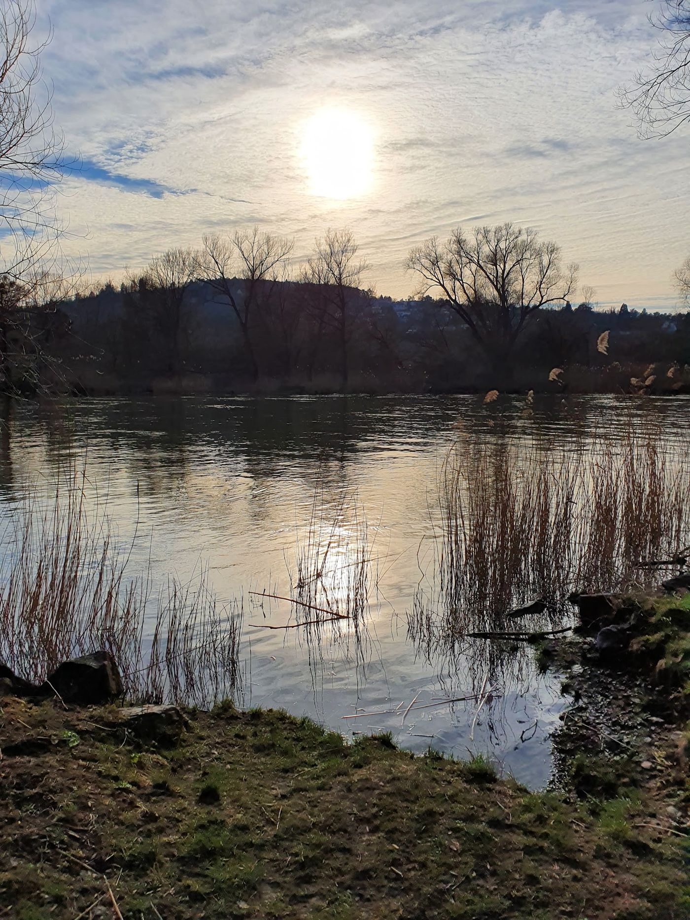 Chillen & Grillen am Fluss