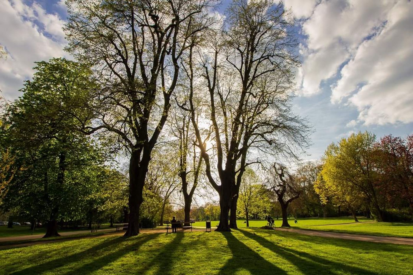 green-oases-leipzig