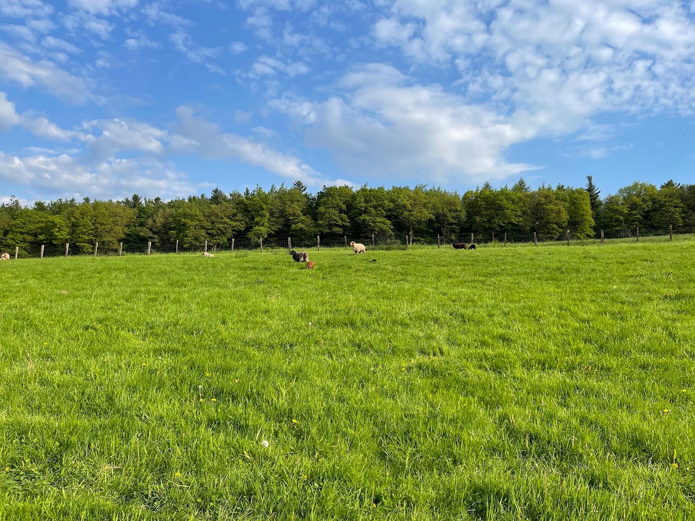 Bauernhoferlebnis für die ganze Familie