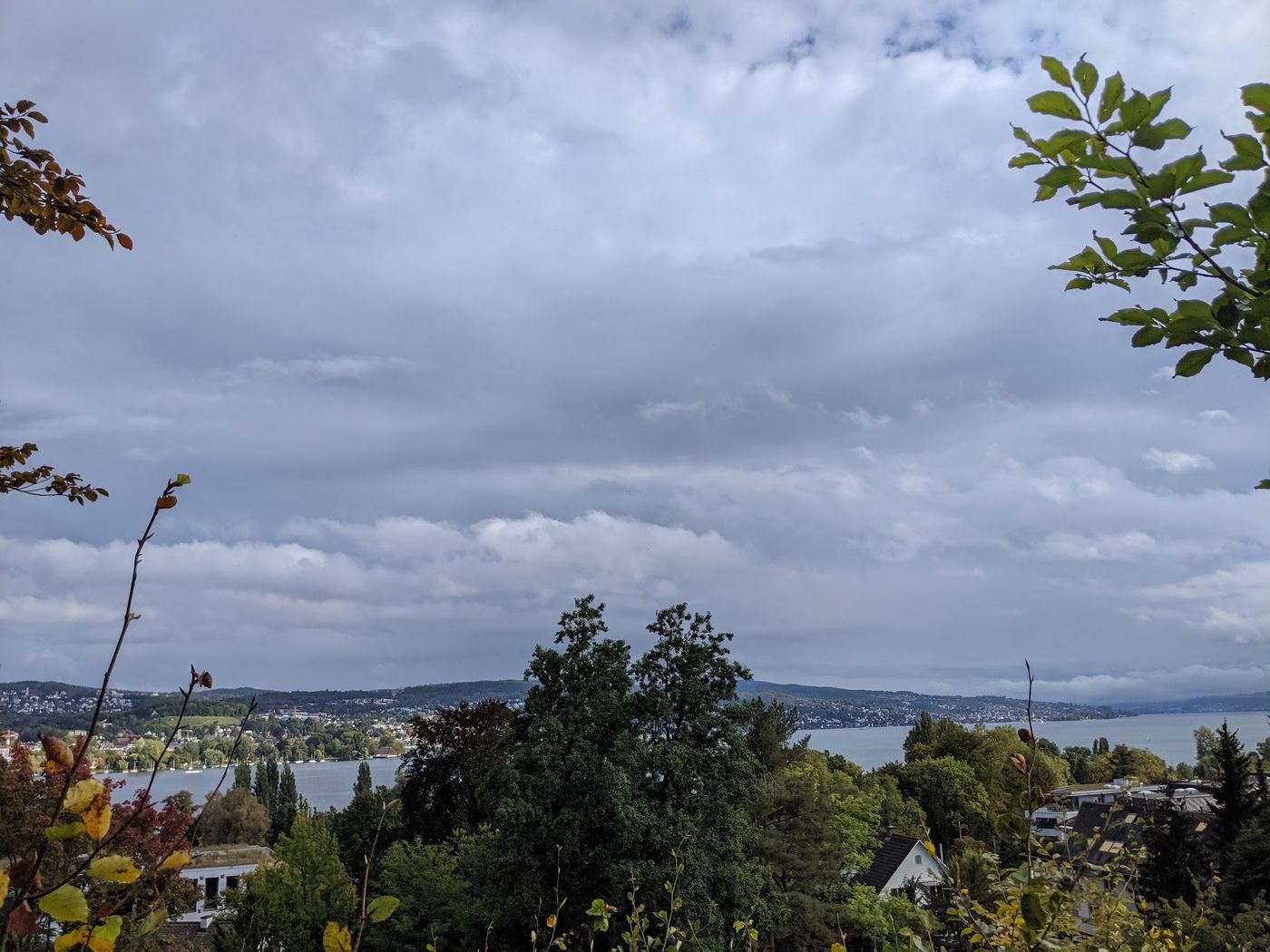 nature