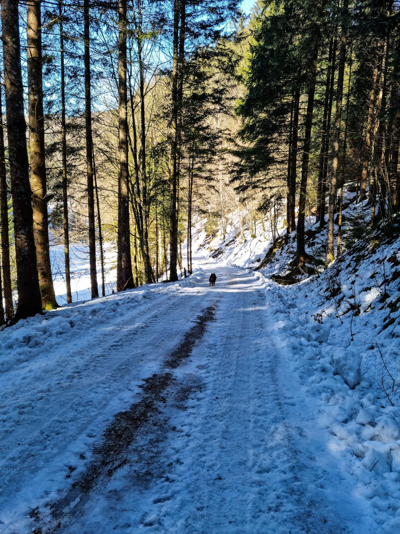 Auf den Spuren von Märchen und Sagen am Märchenweg