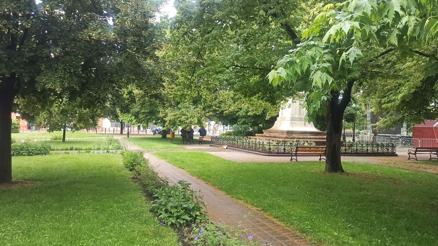 Familienpicknick im Grünen