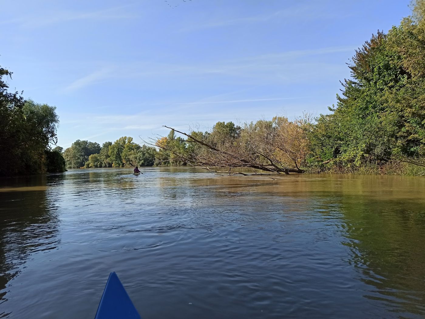 Natur pur am Mures Fluss