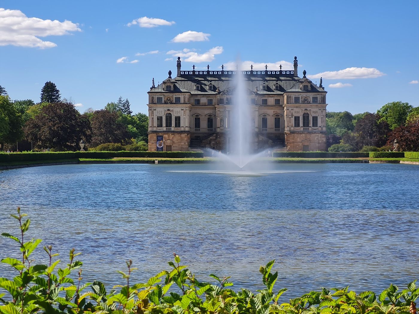 Grüne Oase mitten in Dresden