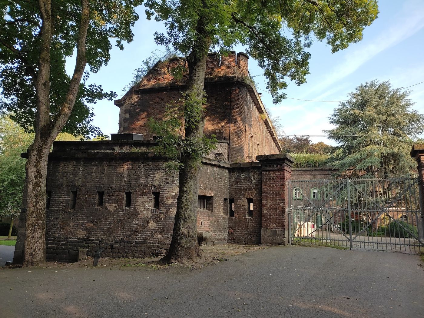 Blühendes Rosenmeer in historischer Festung
