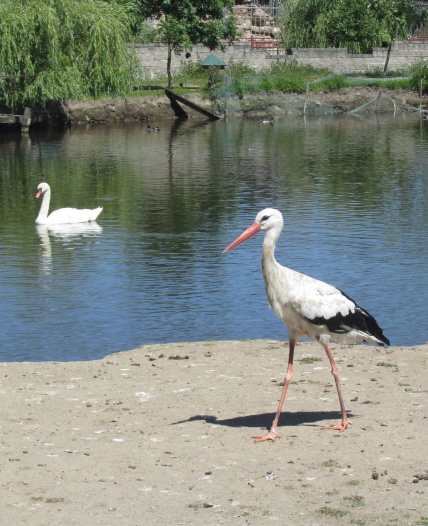 Tierische Abenteuer für die ganze Familie