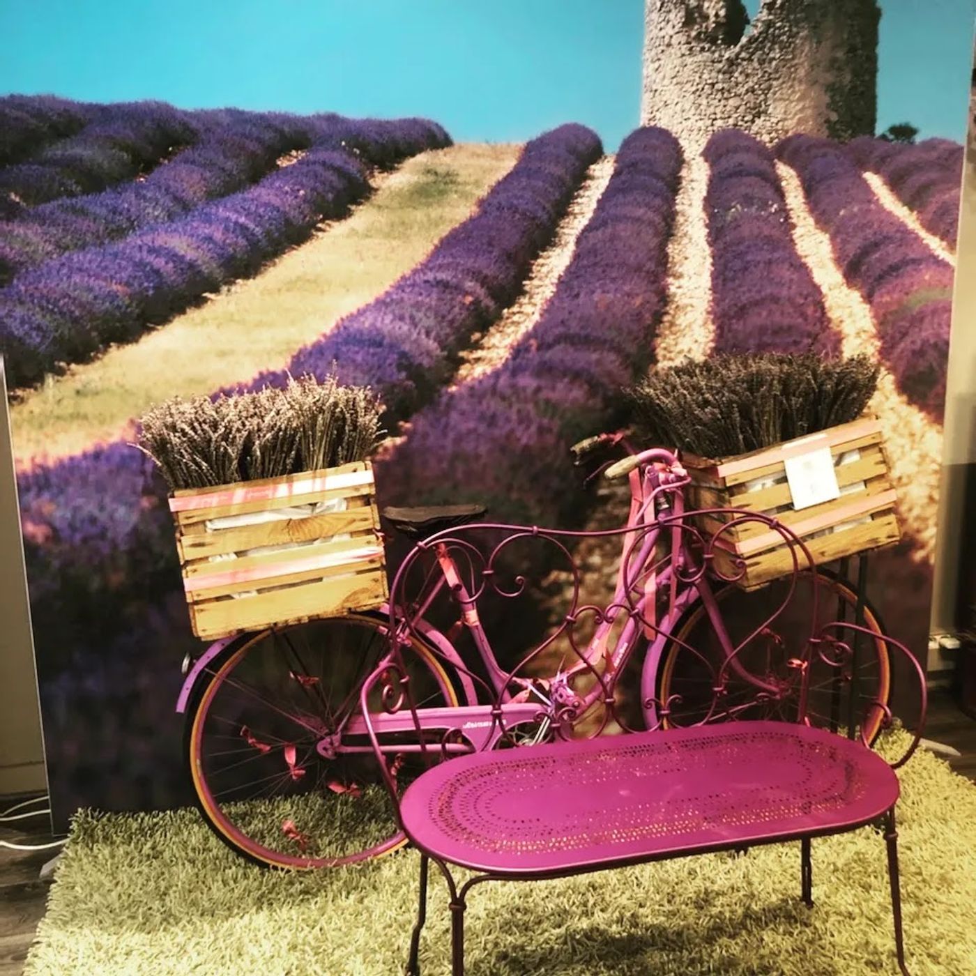 Duftendes Lavendel-Paradies entdecken