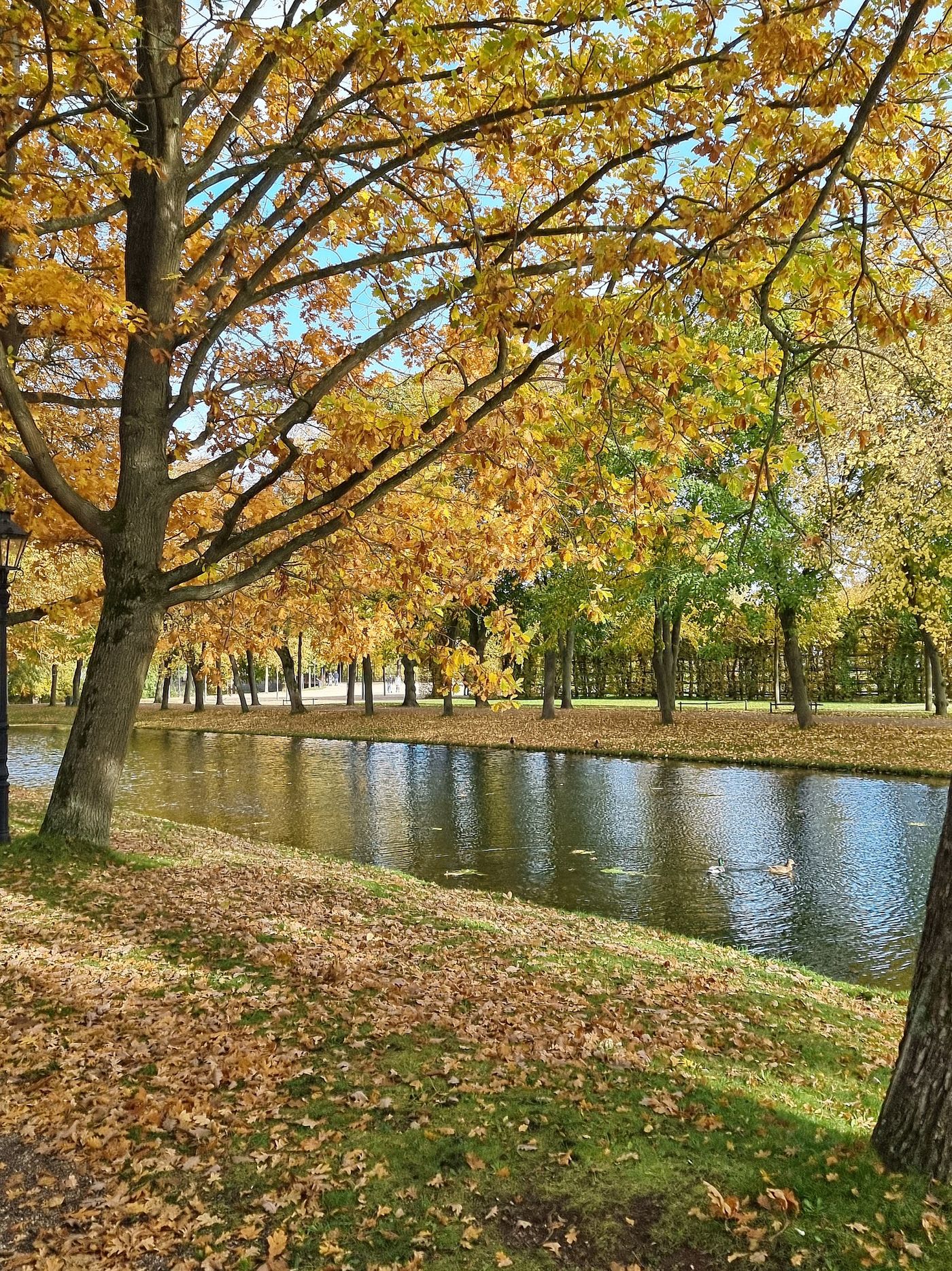 Schwerin auf Rädern erkunden