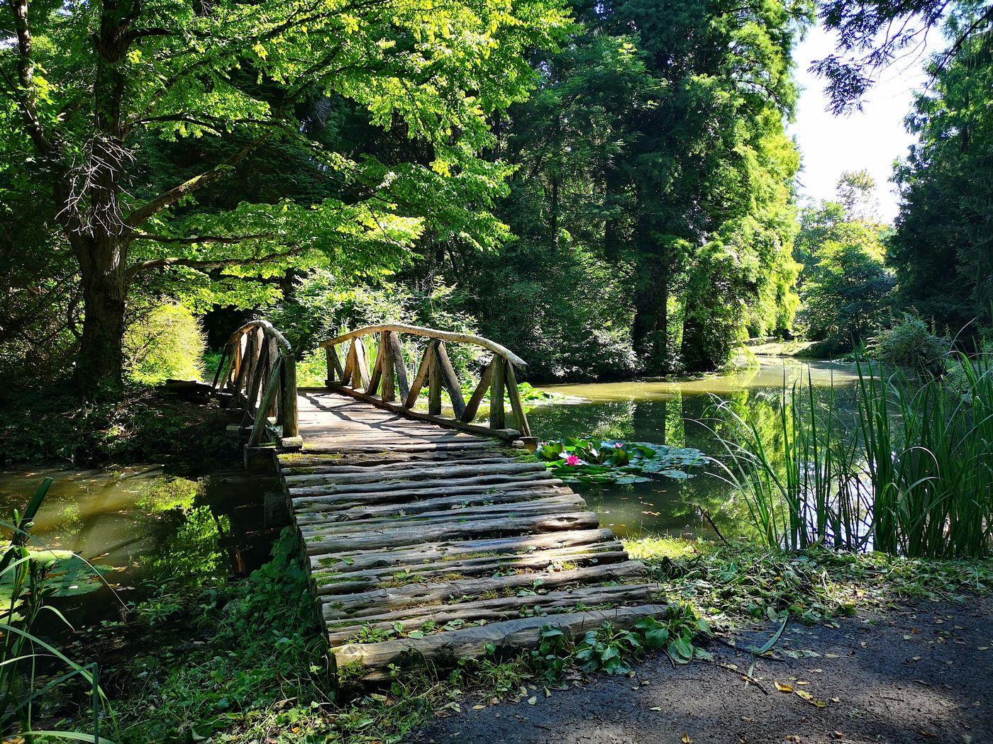 Entspannung pur im botanischen Garten