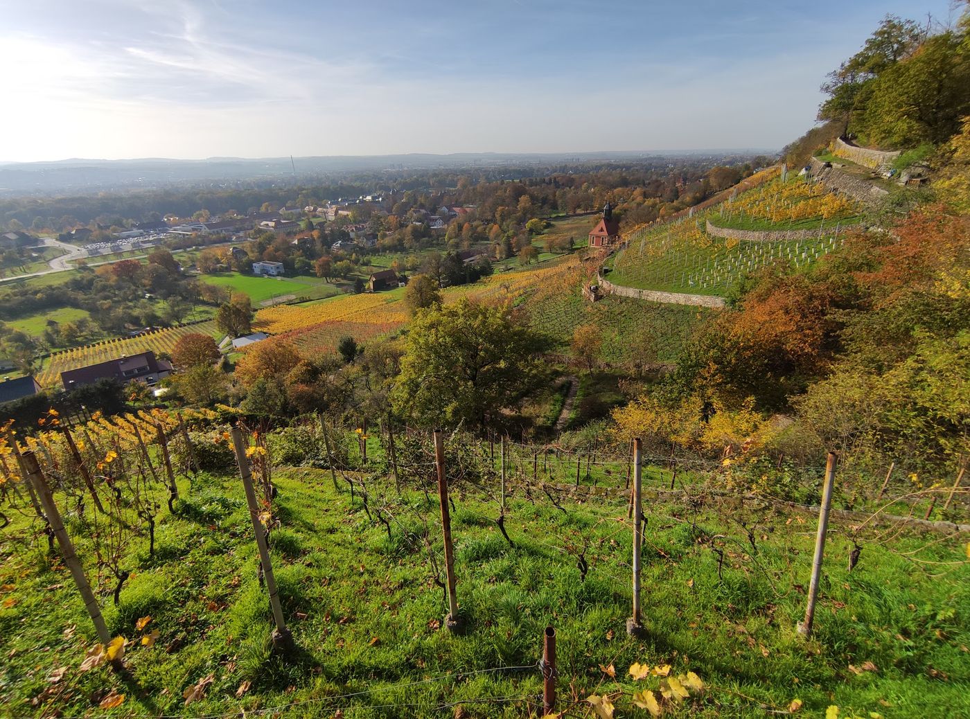 Zwischen Reben wandern