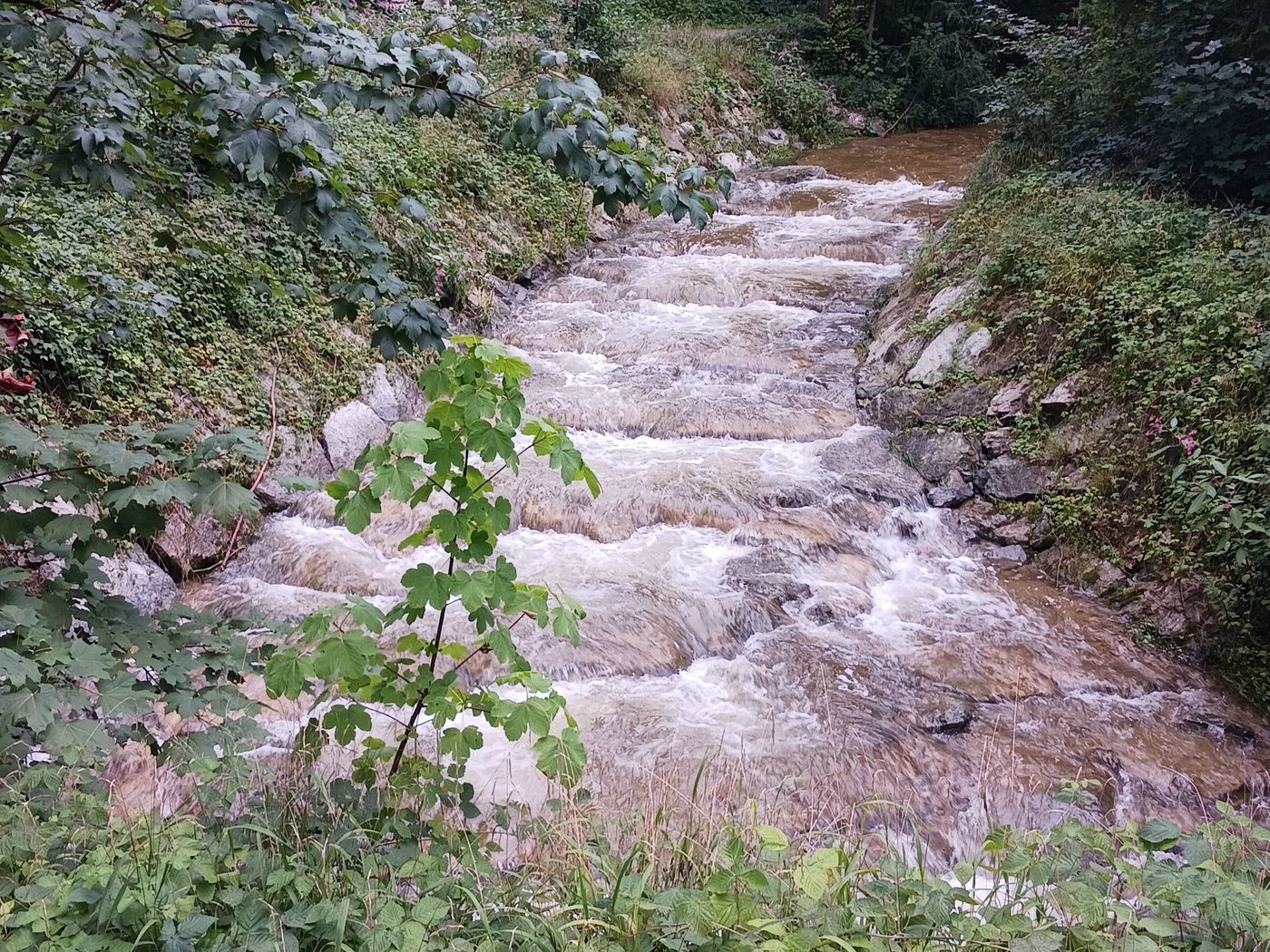 nature