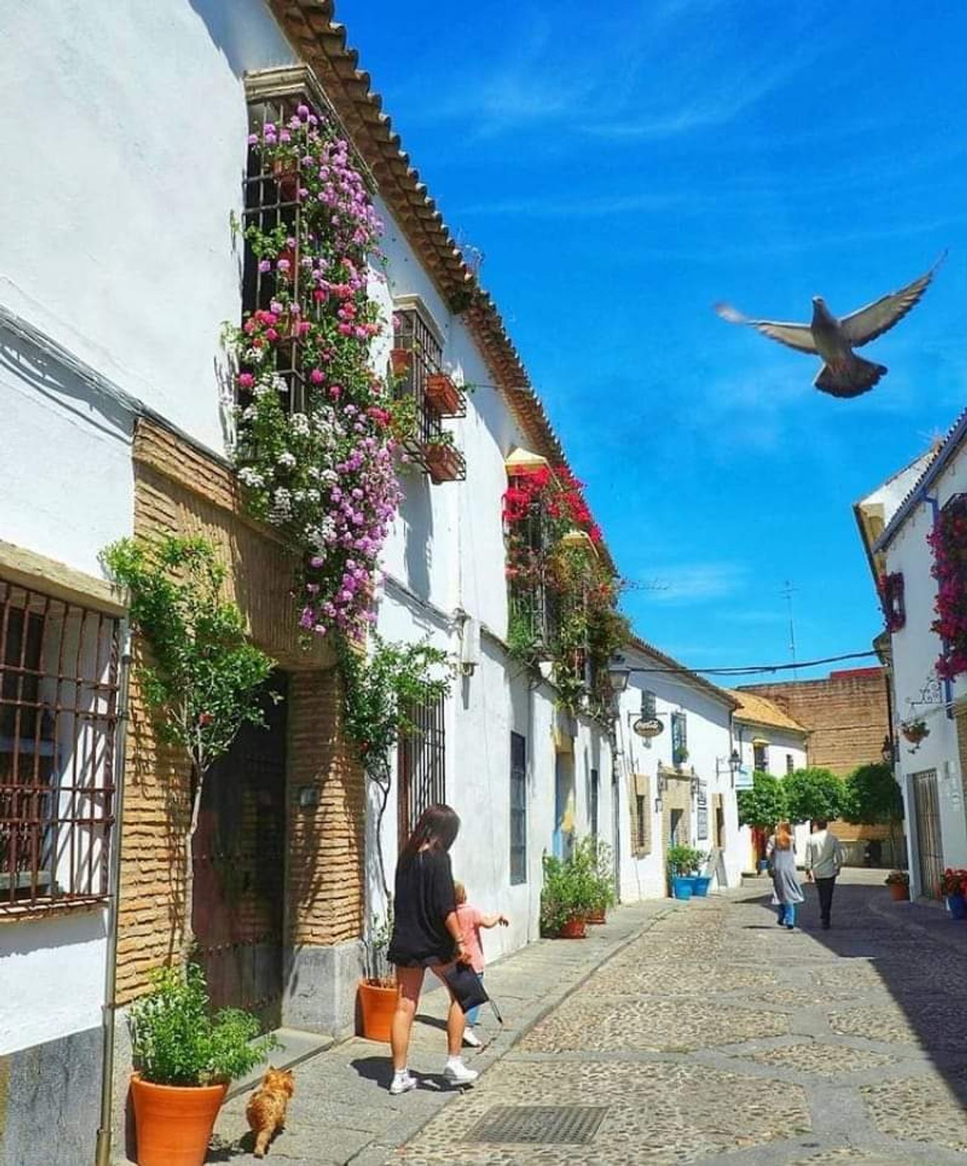 Entdecke die Patios von San Basilio