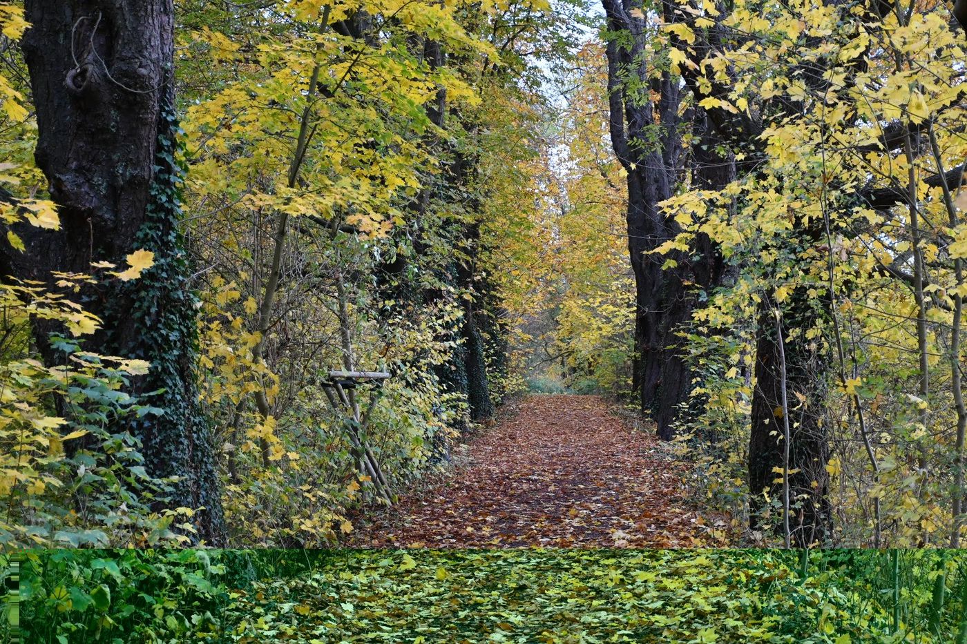 Kulturelle Schätze in Kerpen entdecken