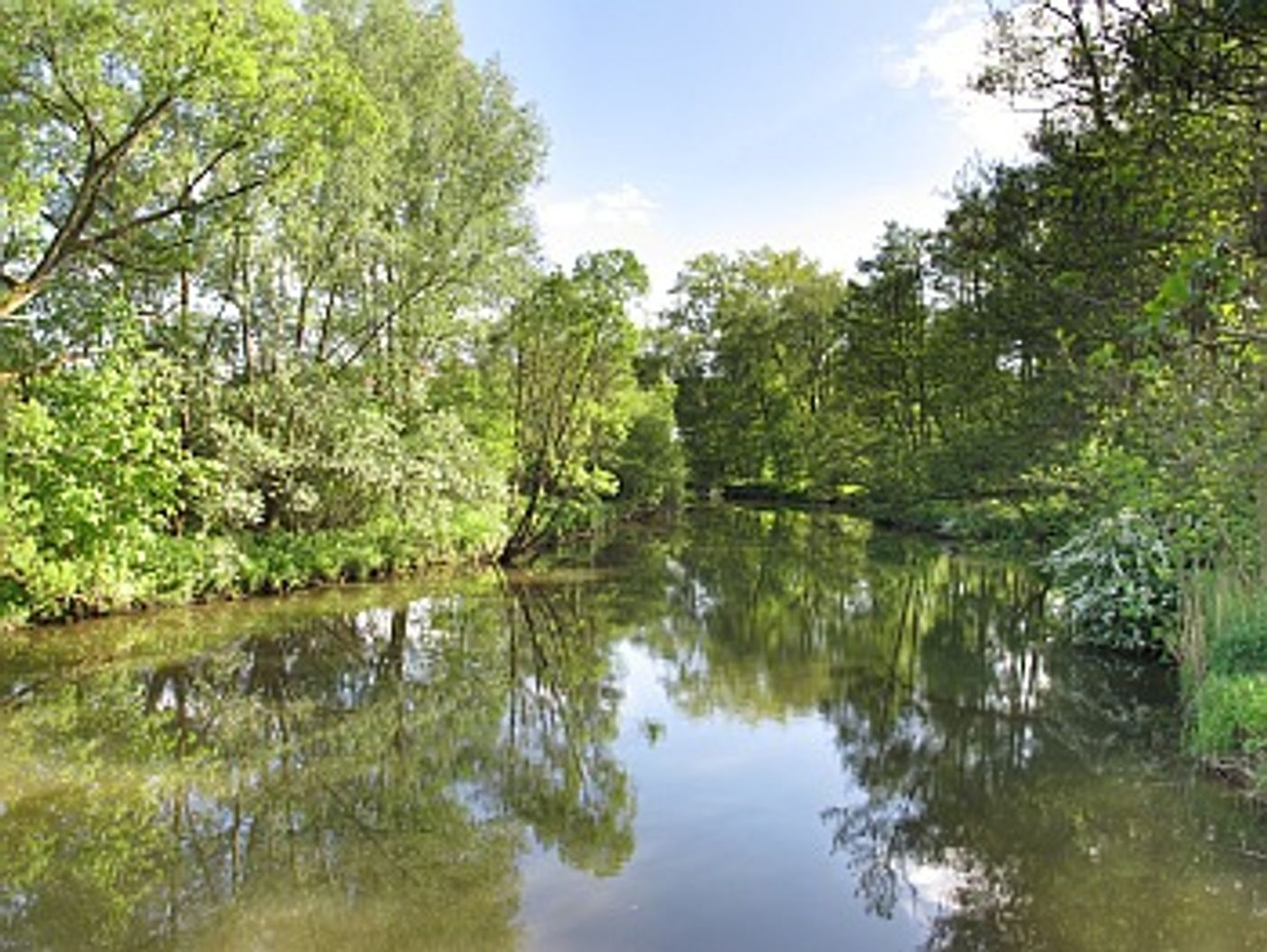 nature
