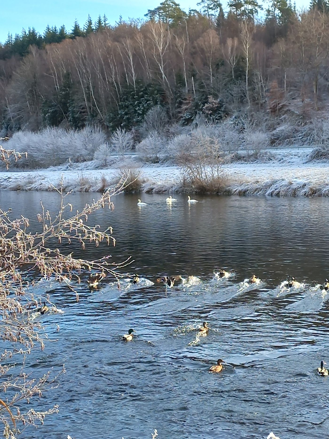 Idyllische Fahrradtouren entlang der Ruhr