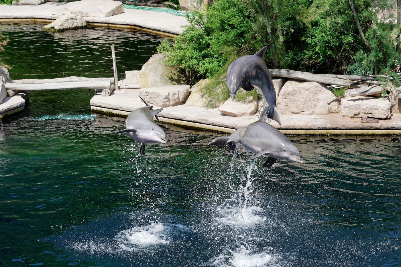 Entdecke faszinierende Tierwelten