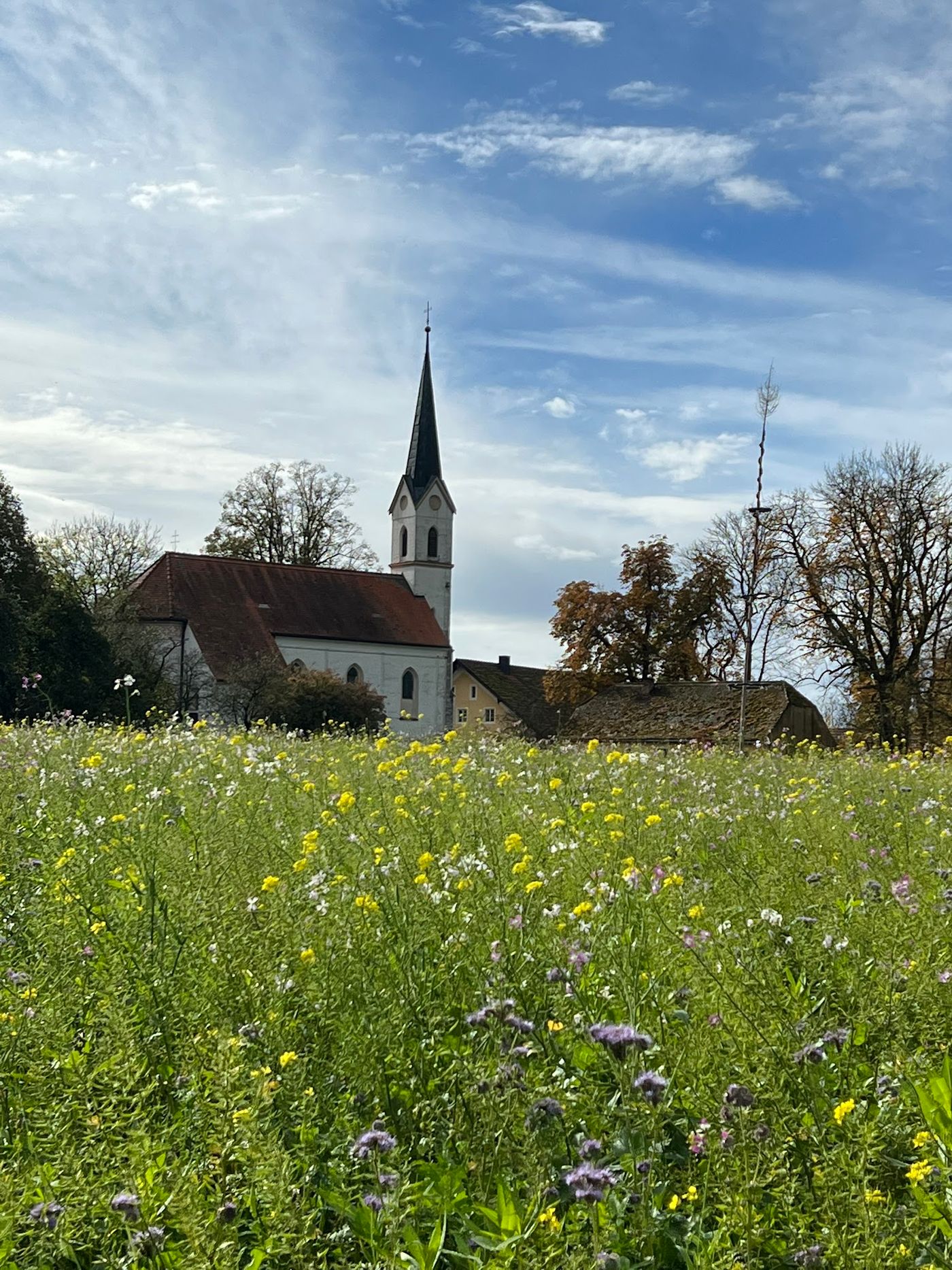 Open-Air Genuss unter Sternen