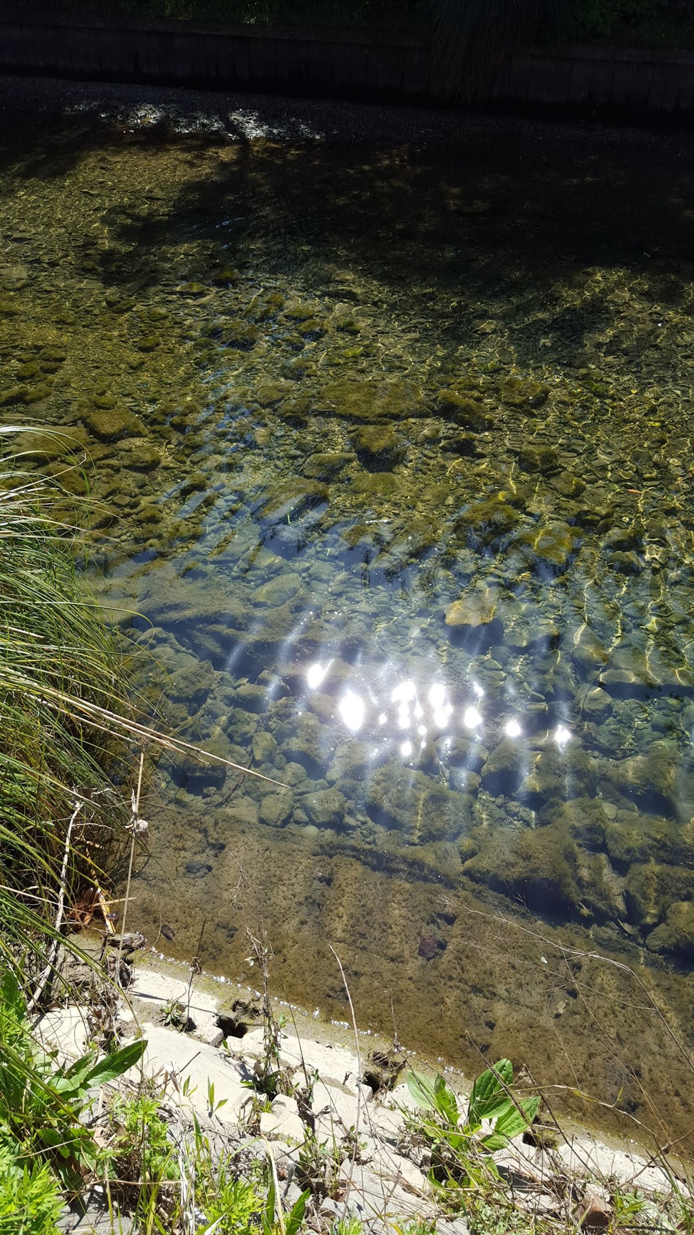 Geheime Pfade entlang des Wassers