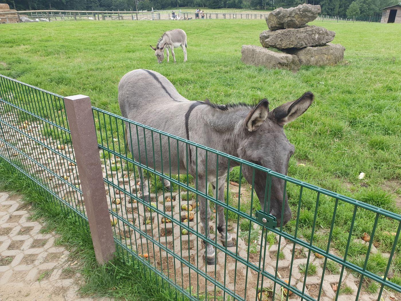 Bauernhoferlebnis für die ganze Familie