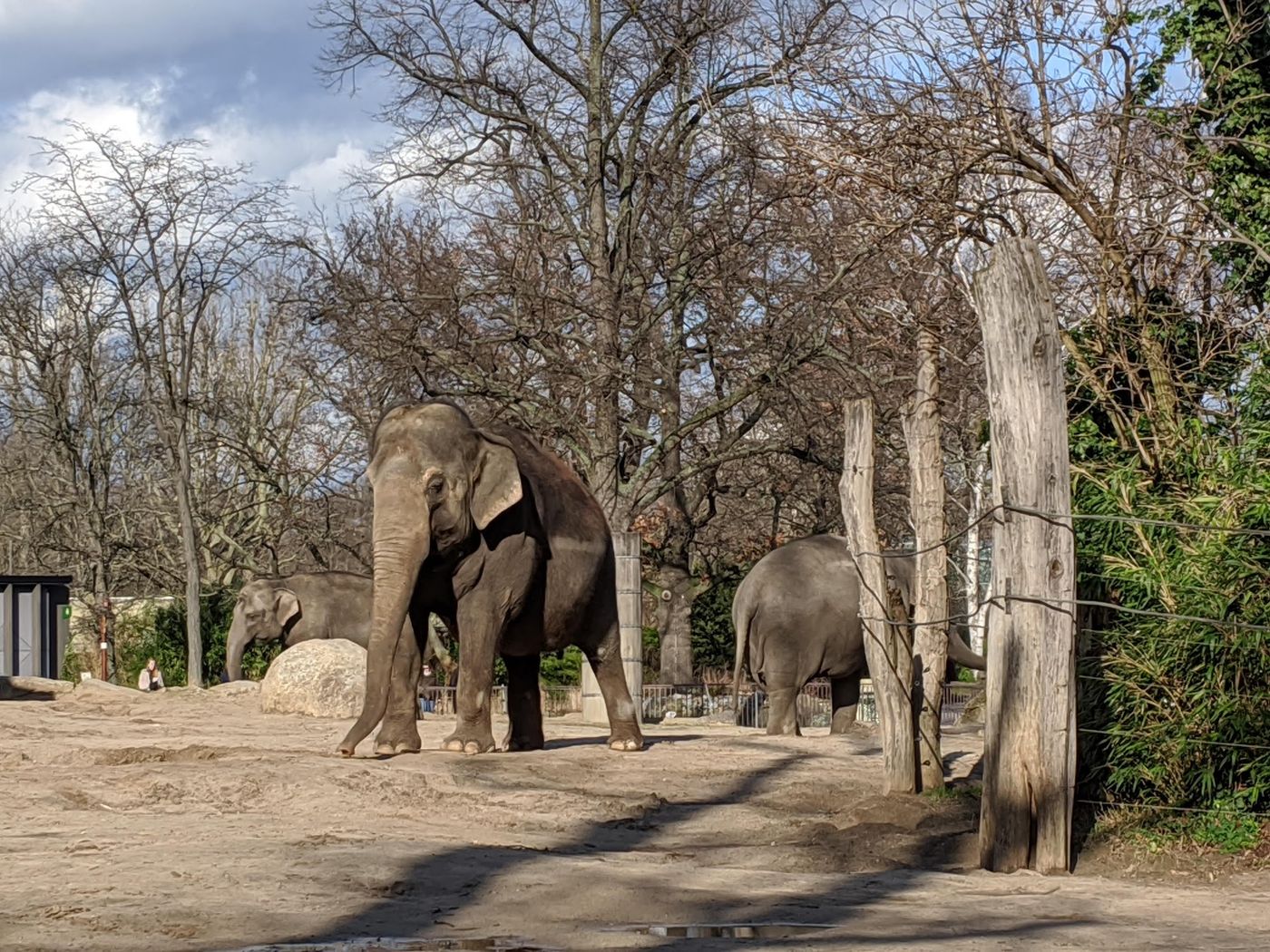 Tierische Begegnungen im ältesten Zoo Deutschlands